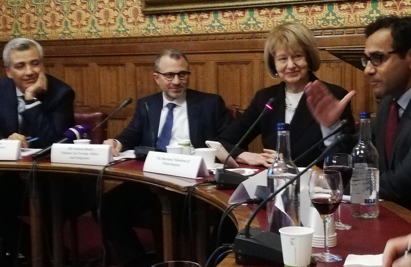 Baroness Nicholson Chairing Meeting